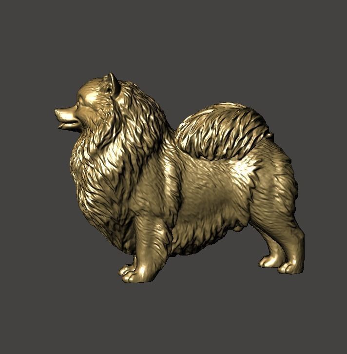 Pomeranian Dog - Pom Pom 3D print model_4