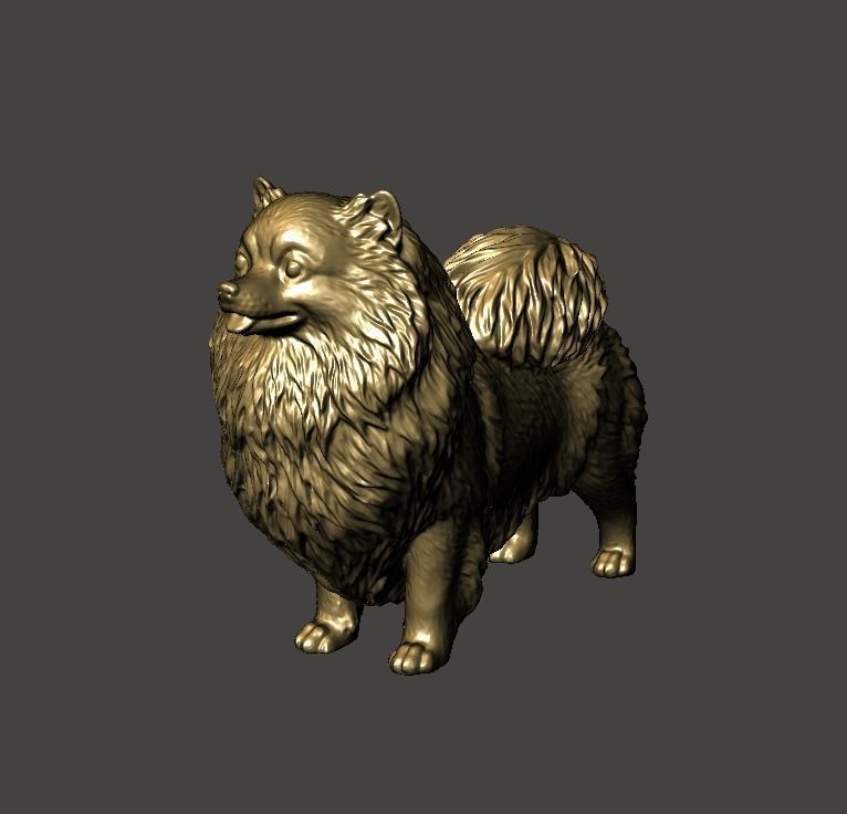 Pomeranian Dog - Pom Pom 3D print model_5