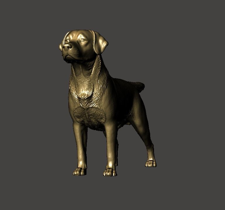 Labrador Retriever Dog 3D print model_8