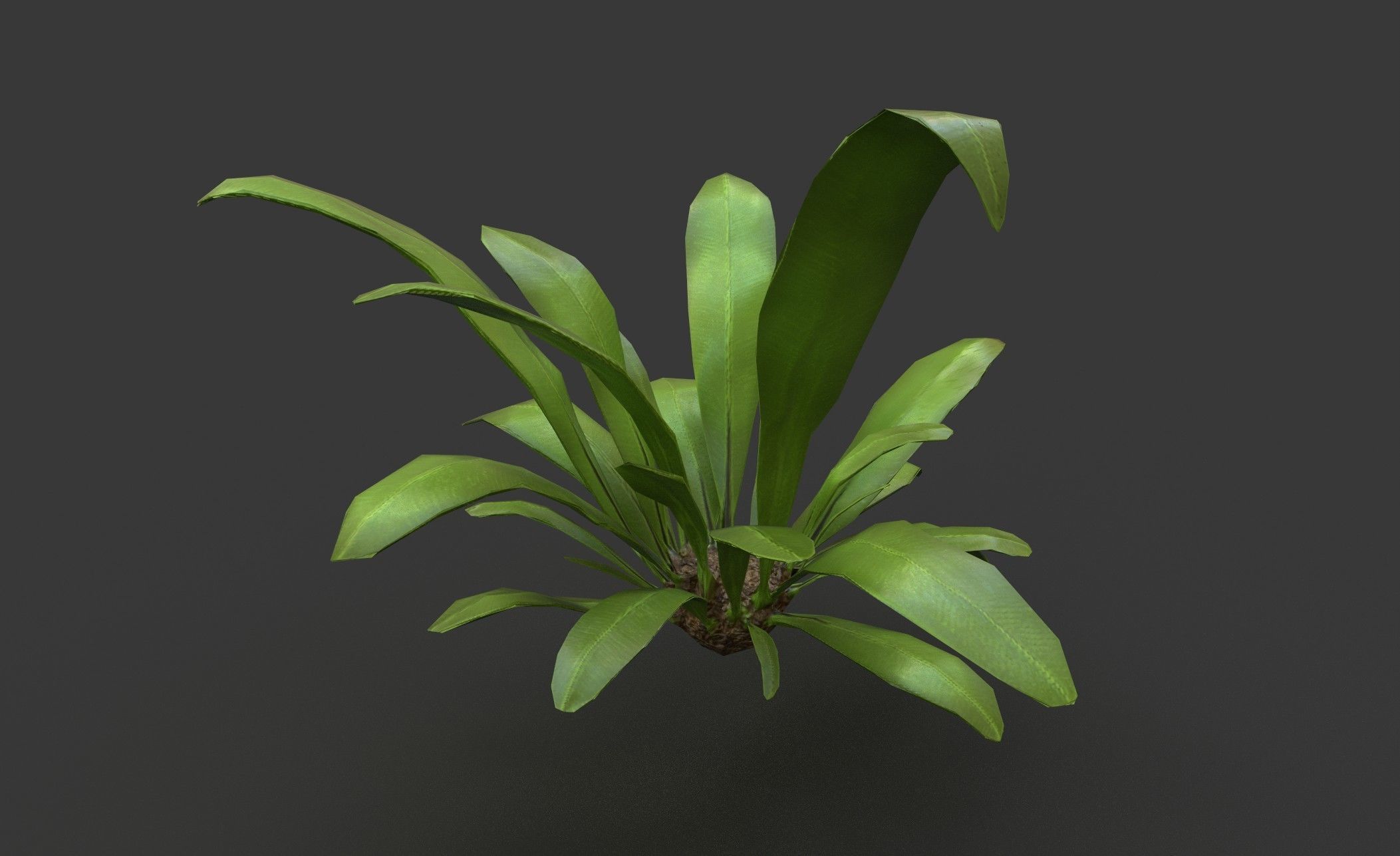 Low Poly Fern Bush Low-poly 3D model_5