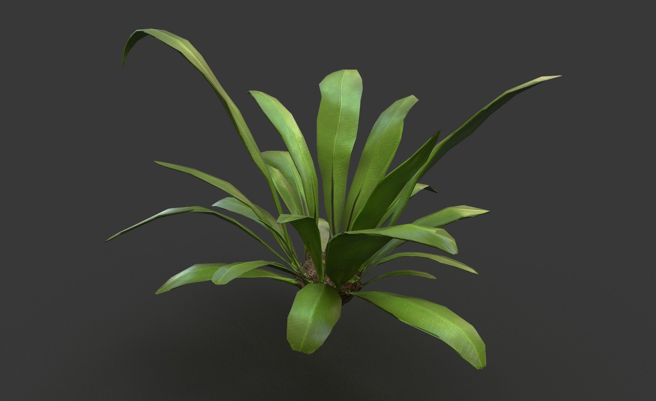 Low Poly Fern Bush Low-poly 3D model_4