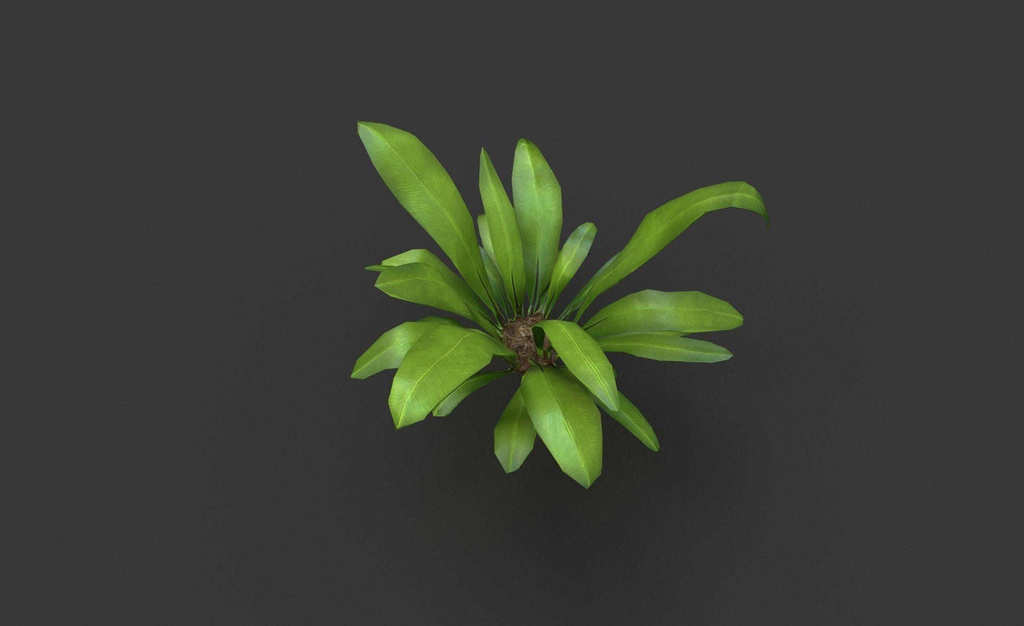 Low Poly Fern Bush Low-poly 3D model_1