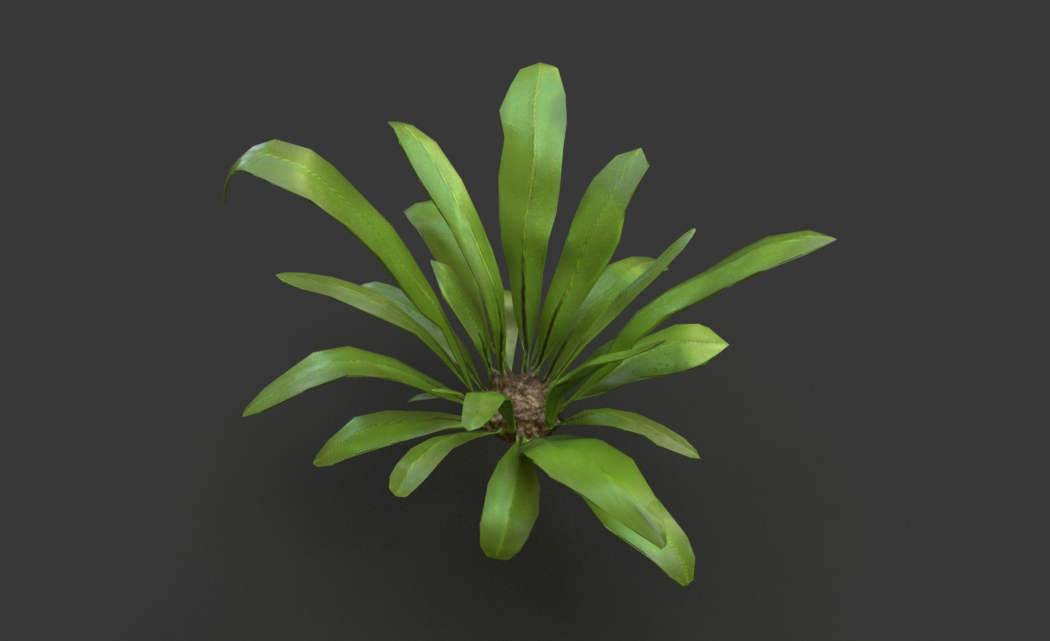 Low Poly Fern Bush Low-poly 3D model_6