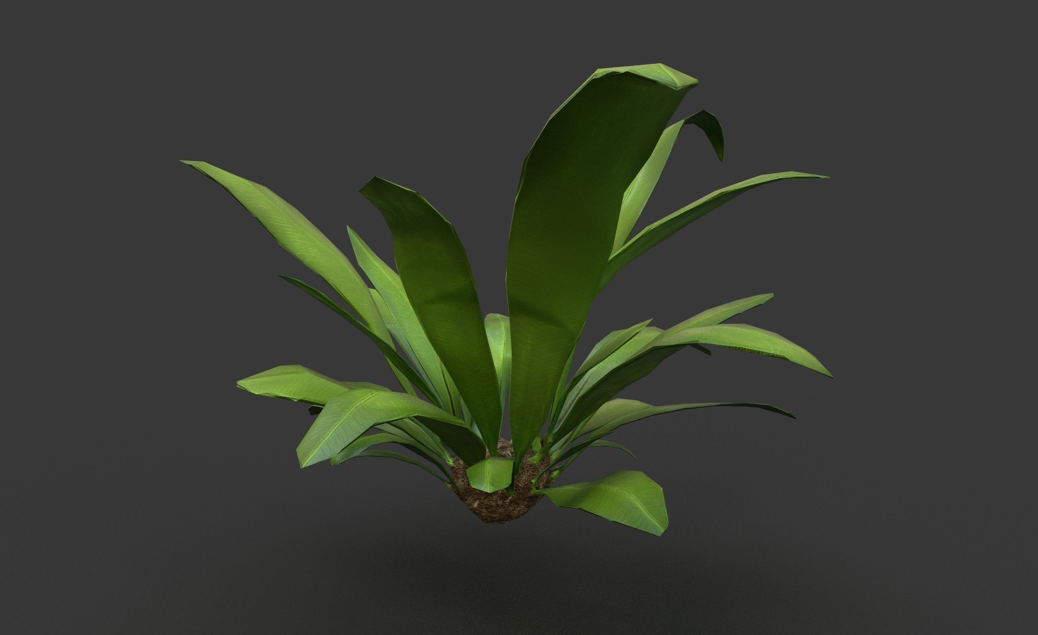 Low Poly Fern Bush Low-poly 3D model_2