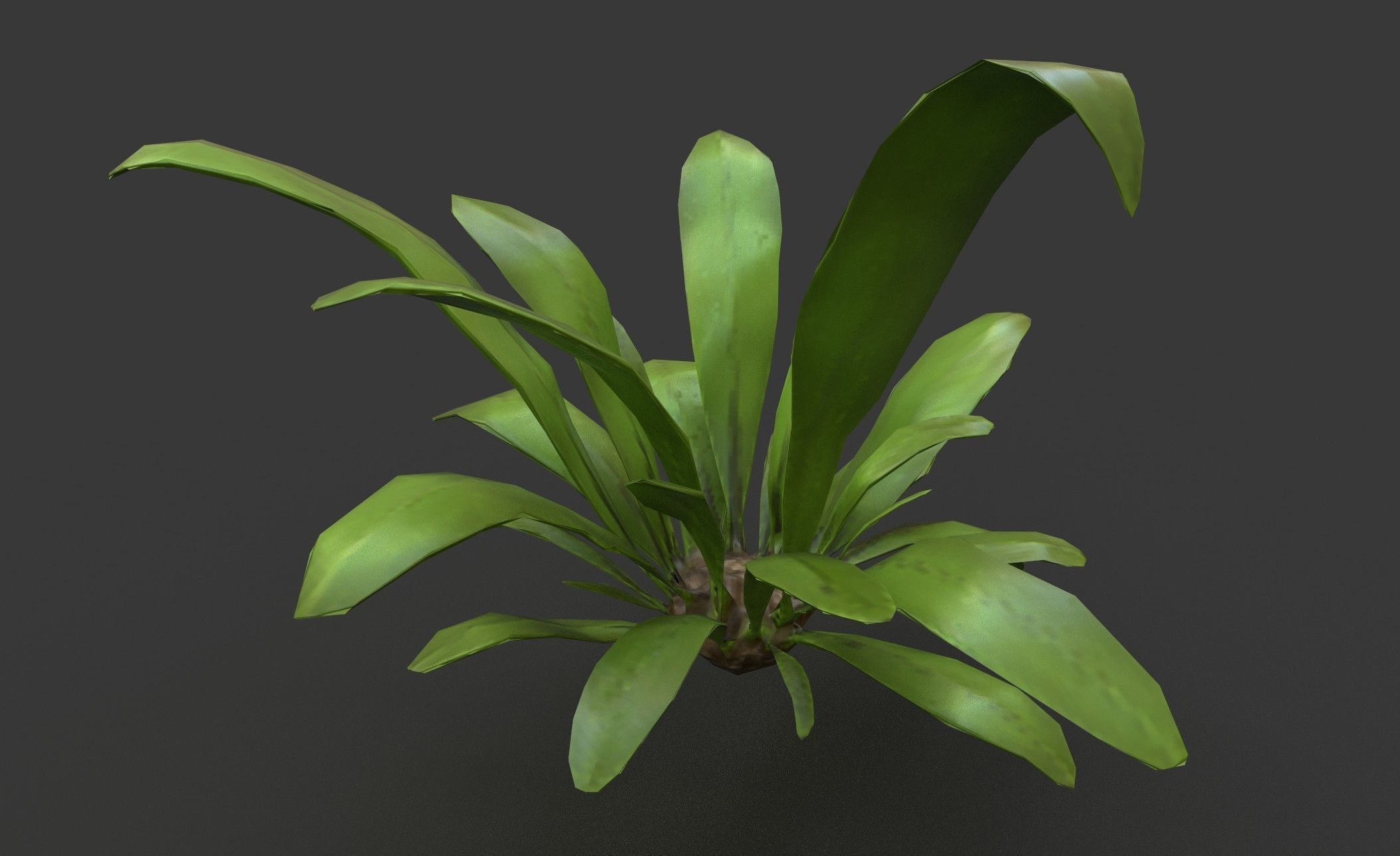 Low Poly Fern Bush Low-poly 3D model_7