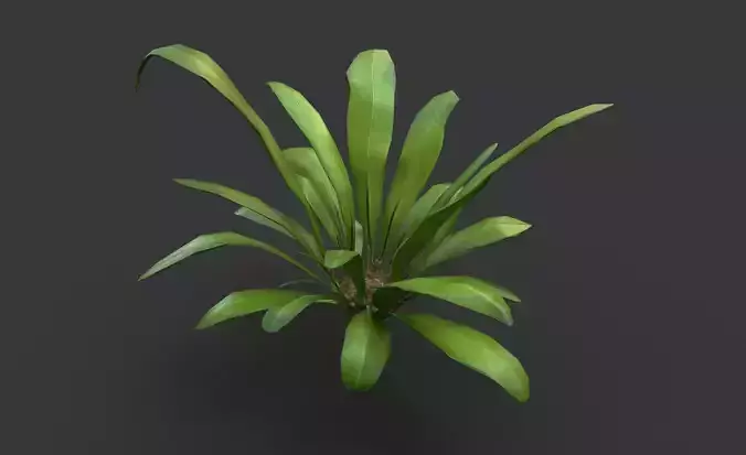 Low Poly Fern Bush