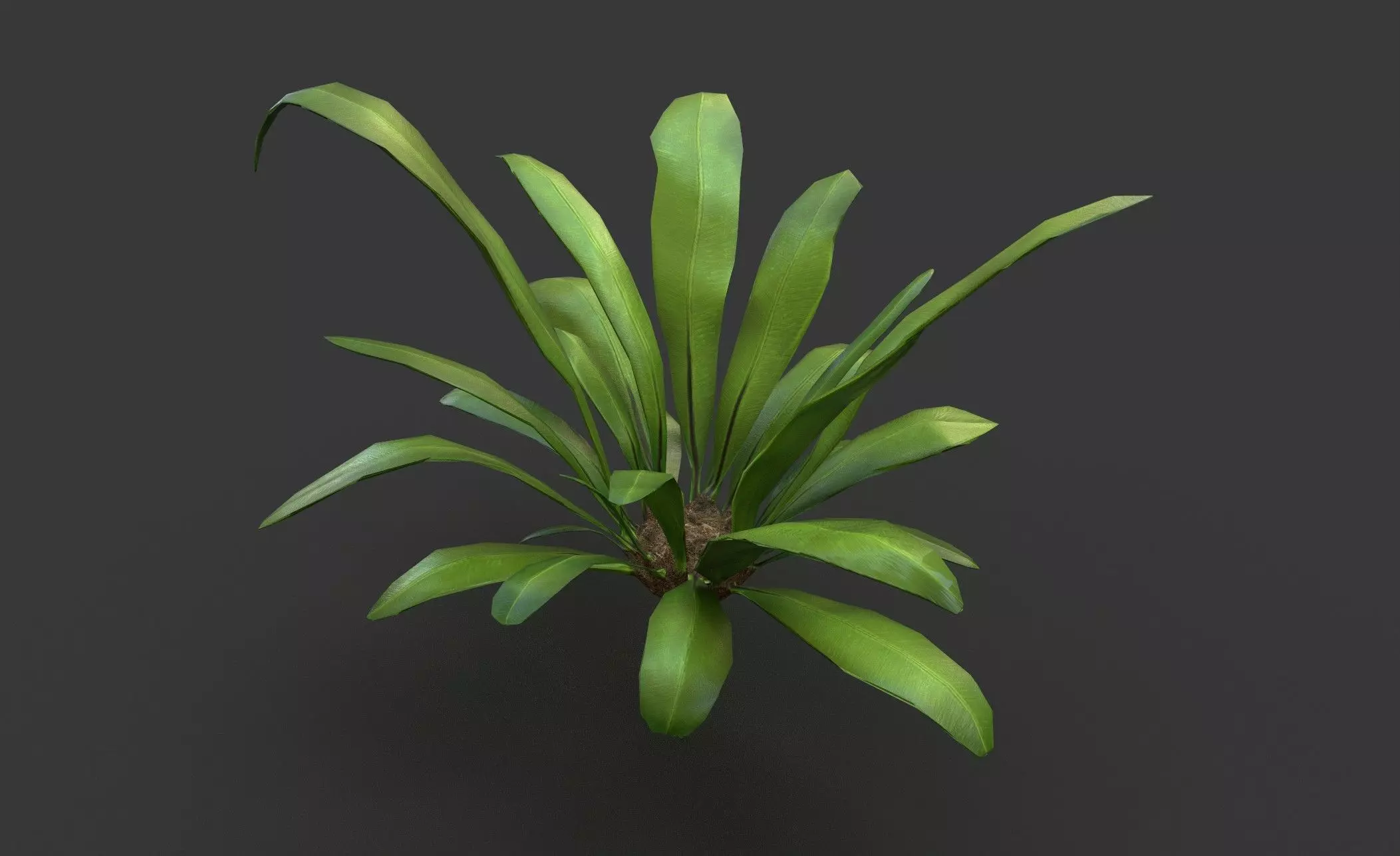 Low Poly Fern Bush Low-poly 3D model_0