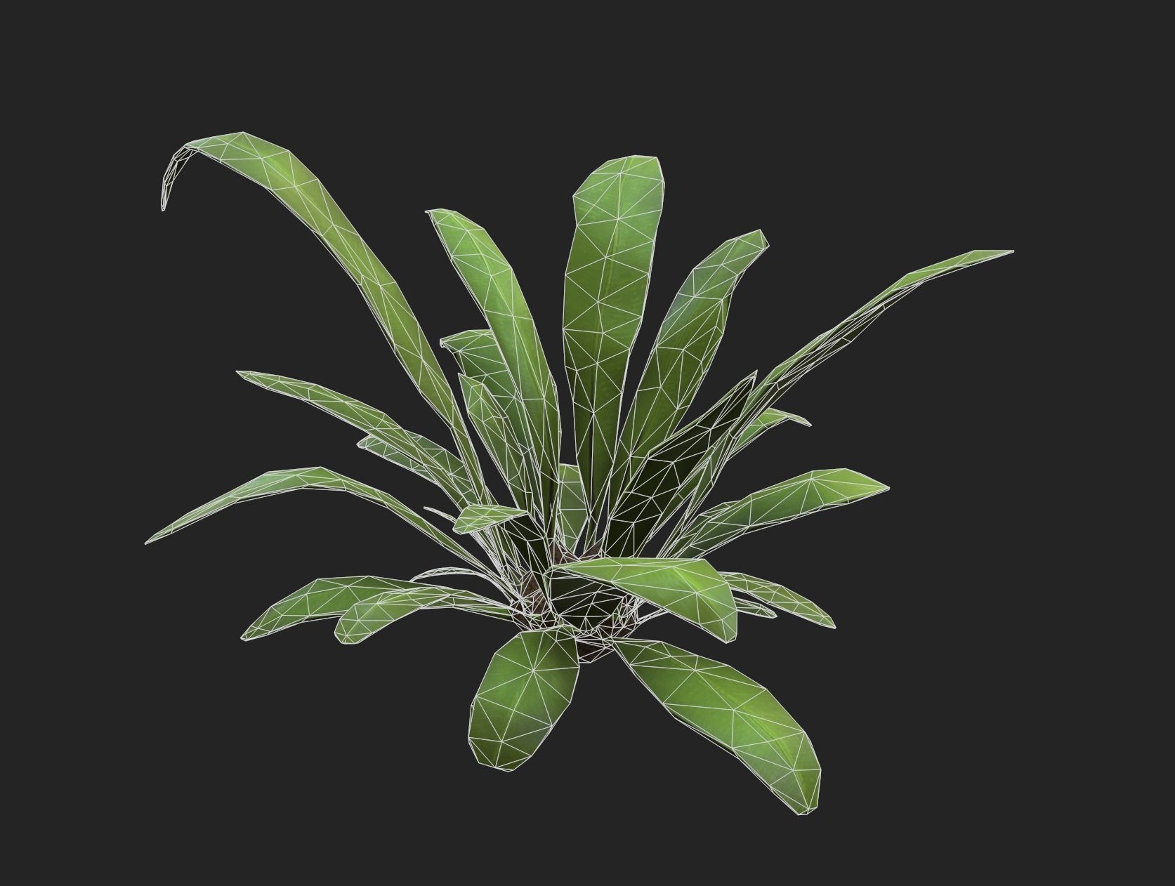 Low Poly Fern Bush Low-poly 3D model_3