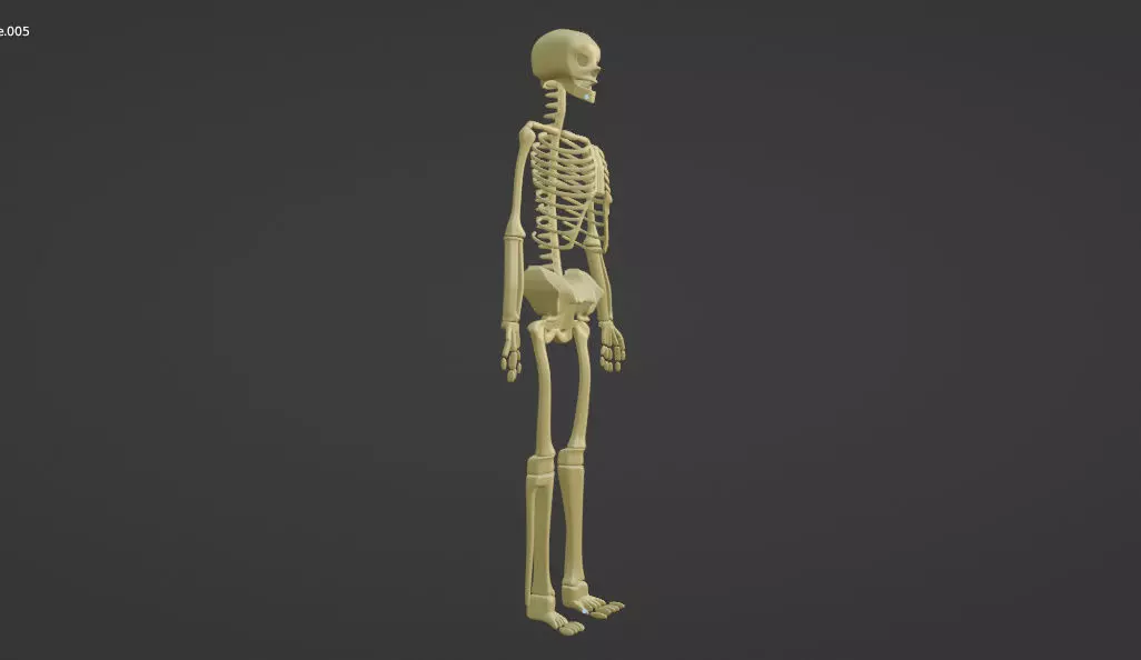HUMAN skeleton 3D model_0