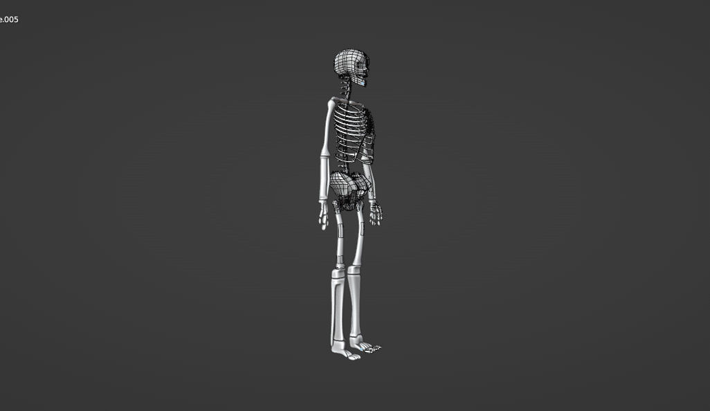 HUMAN skeleton 3D model_16