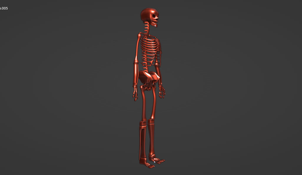 HUMAN skeleton 3D model_5
