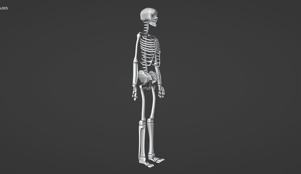 HUMAN skeleton 3D model_34