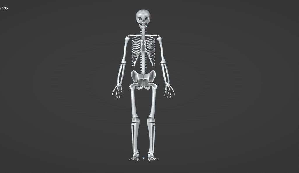 HUMAN skeleton 3D model_4