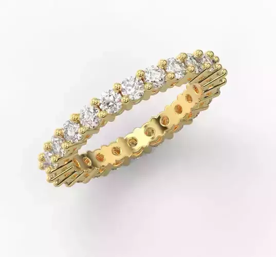 221129 R 23 and 24gems eternity ring 3D print model