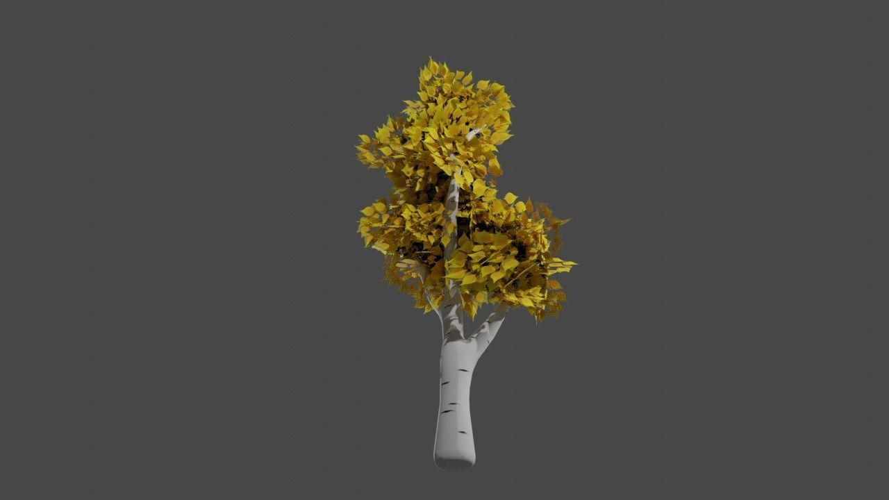 Stylized birch 3D model_4