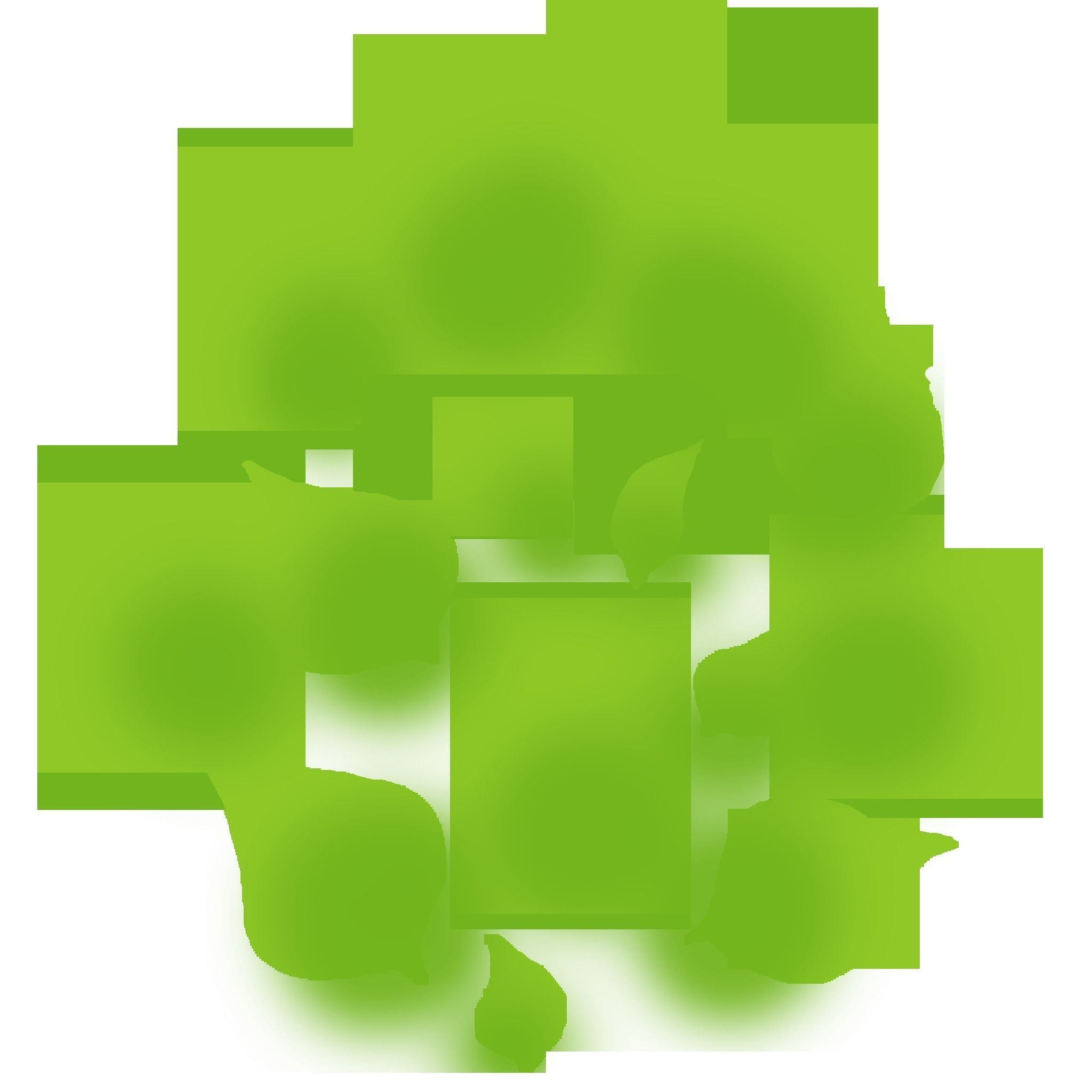 Stylized birch 3D model_8