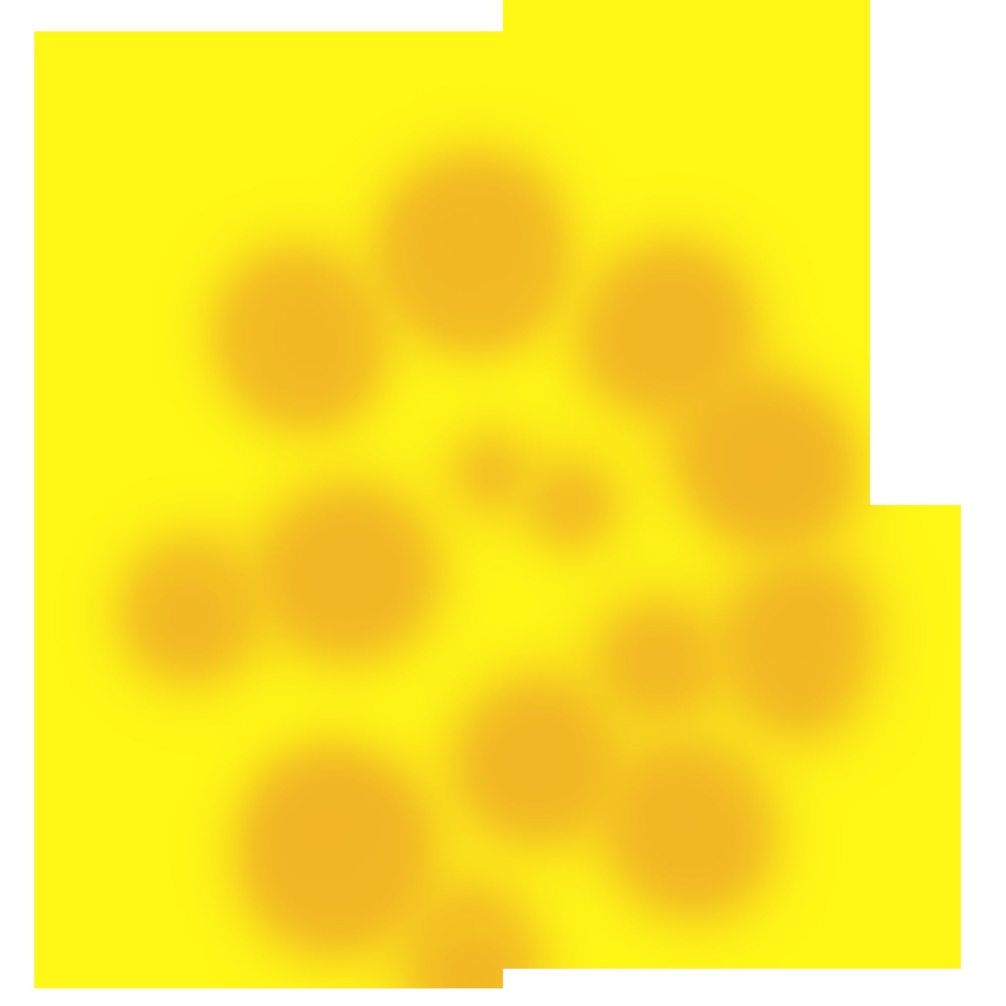 Stylized birch 3D model_9