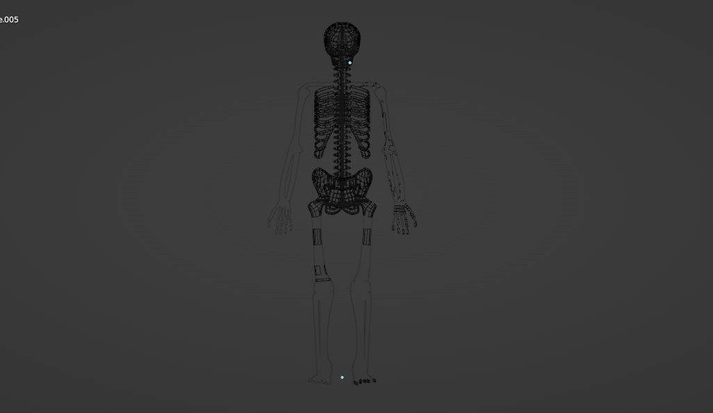 skeleton human Low-poly 3D model_1