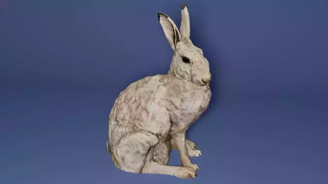 Realistic Hare Statue