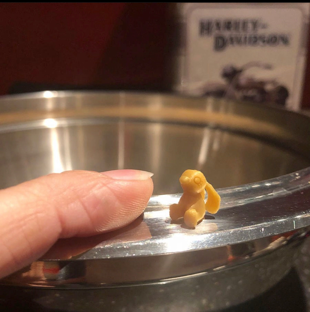 Schlappohr Hase  3D print model_1