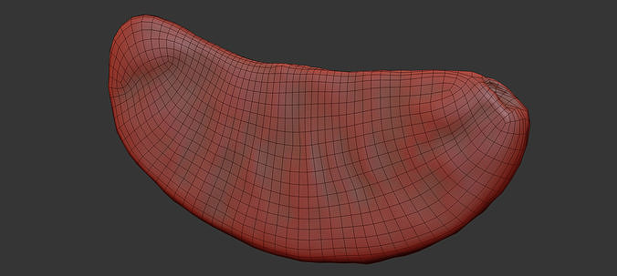 Orange 3D model 7