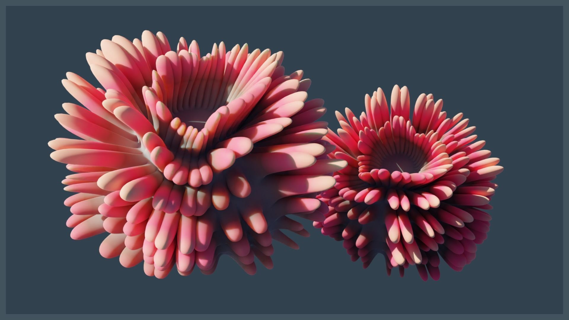 Lowpoly Anemones Pack Low-poly 3D model_6