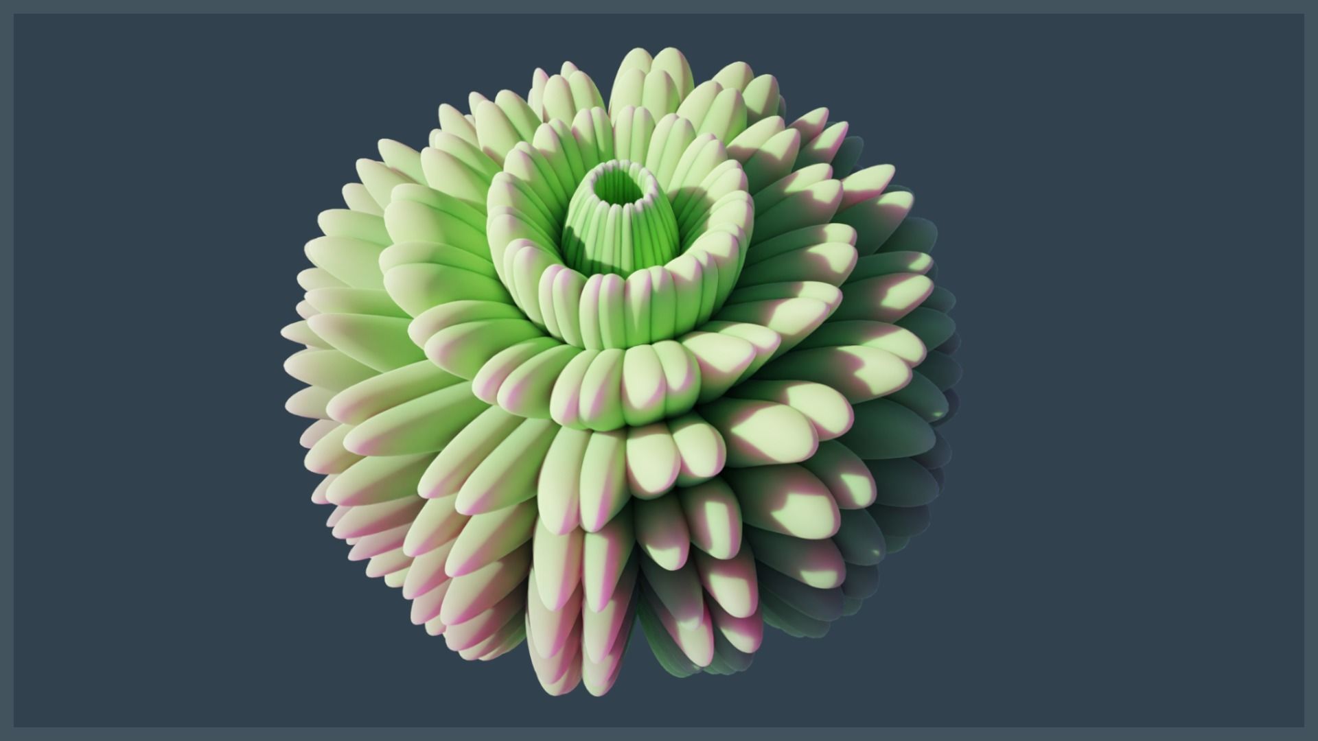 Lowpoly Anemones Pack Low-poly 3D model_7
