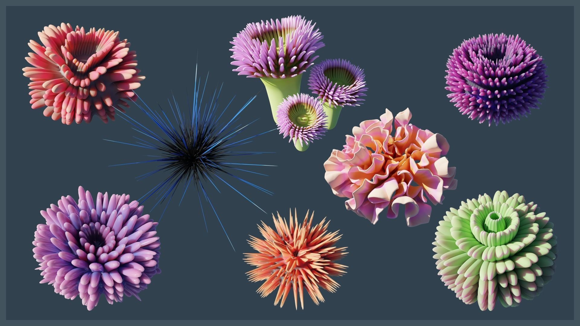 Lowpoly Anemones Pack Low-poly 3D model_4