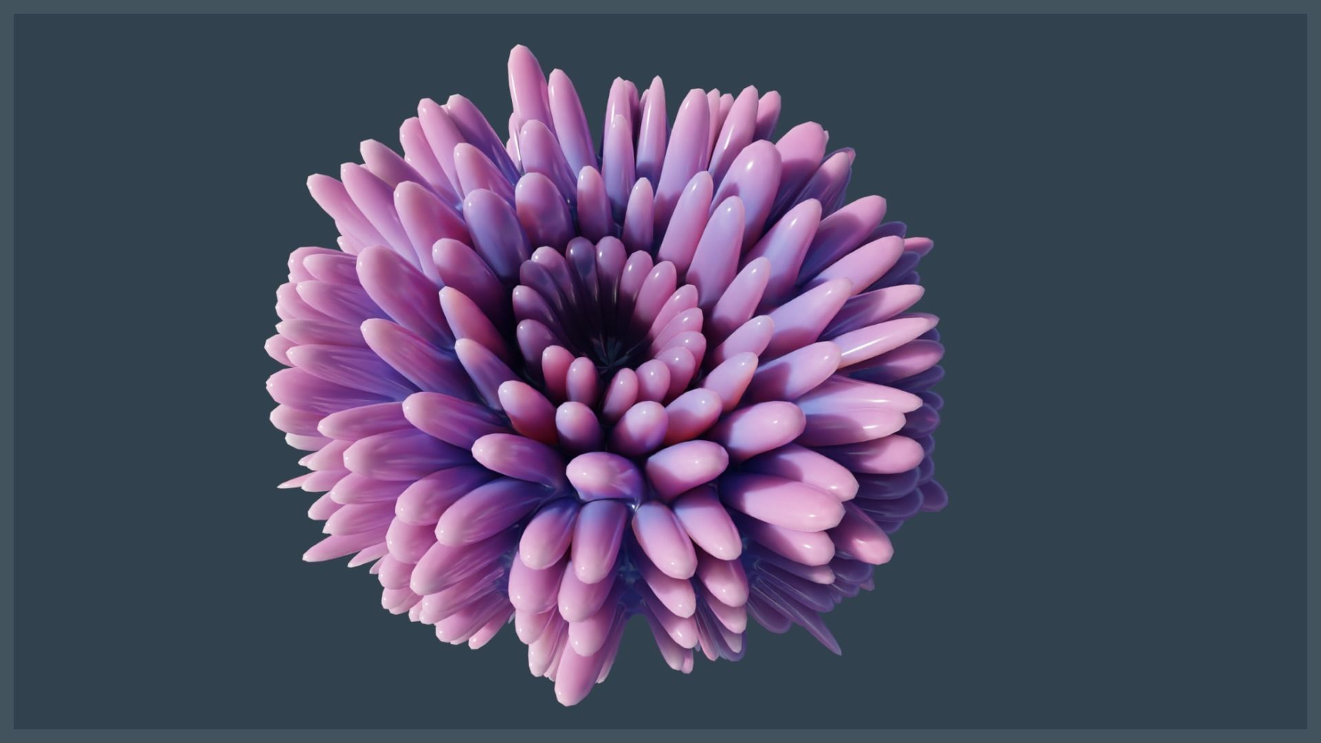 Lowpoly Anemones Pack Low-poly 3D model_8