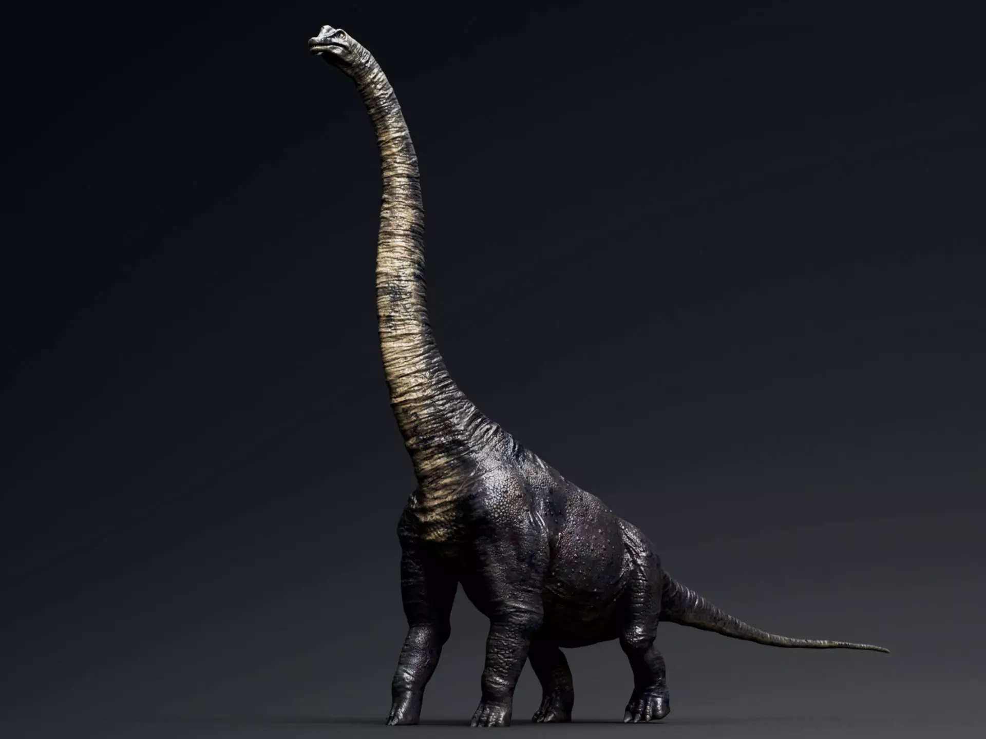 Dinosaur Brachiosaurus Sauropod Low-poly 3D model_0