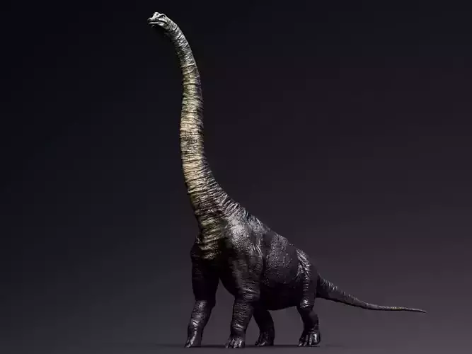 Brachiosaurus Sauropod Low-poly 3D model