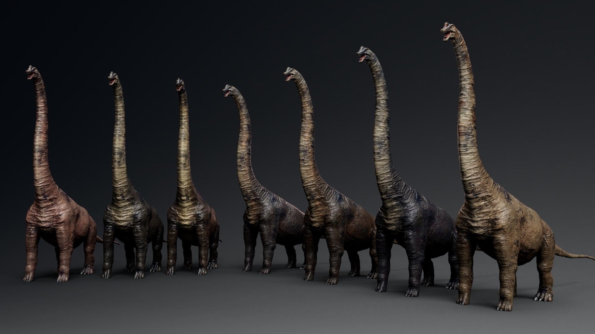 Dinosaur Brachiosaurus Sauropod Low-poly 3D model_7