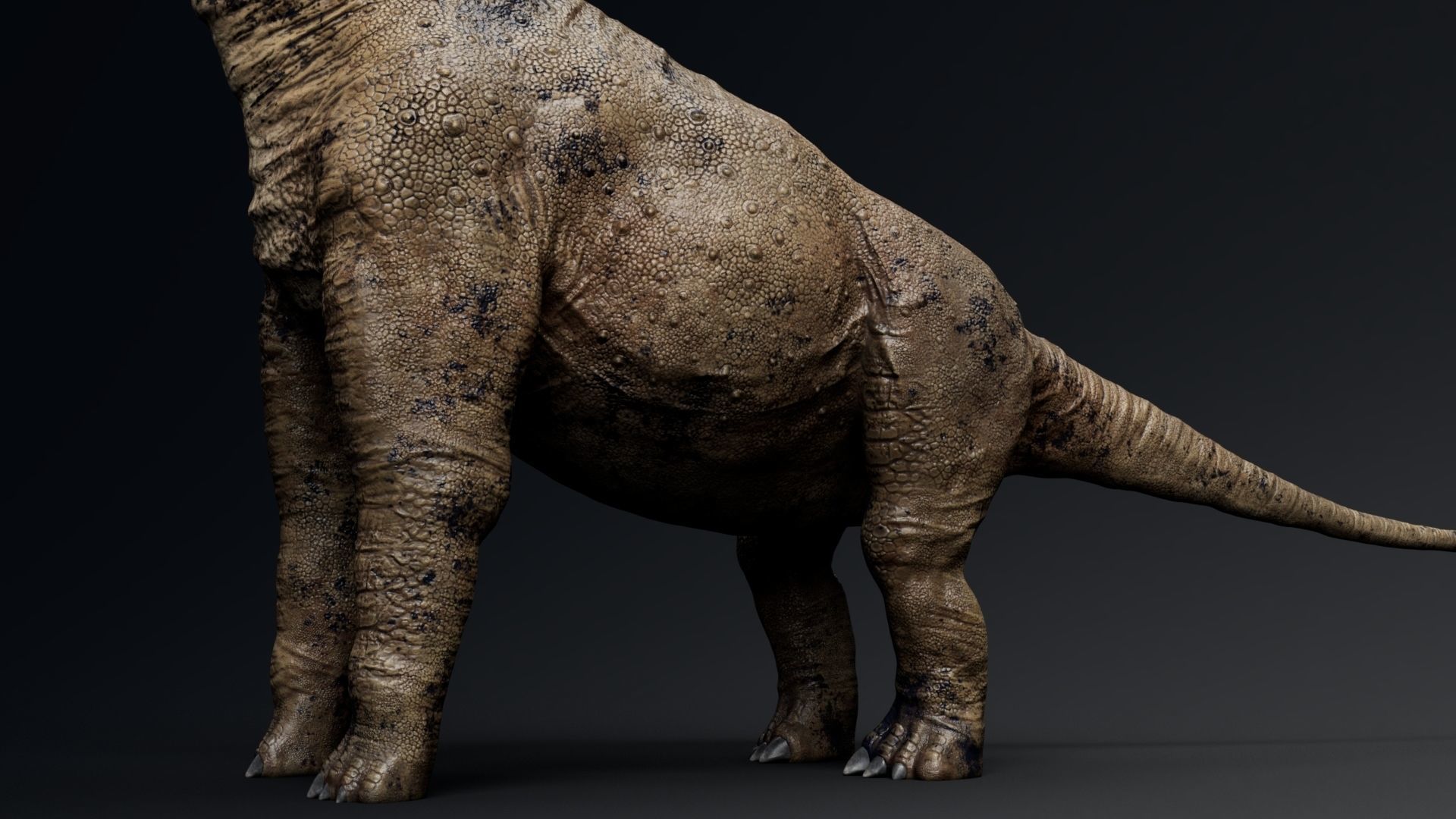Dinosaur Brachiosaurus Sauropod Low-poly 3D model_4