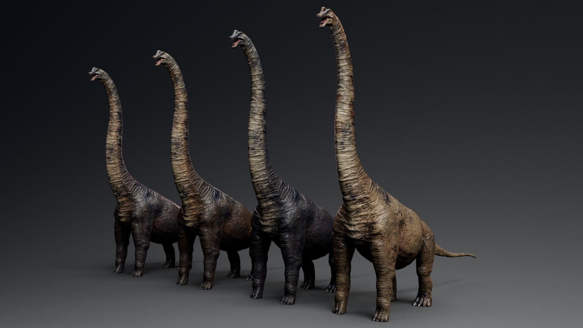 Dinosaur Brachiosaurus Sauropod Low-poly 3D model_5
