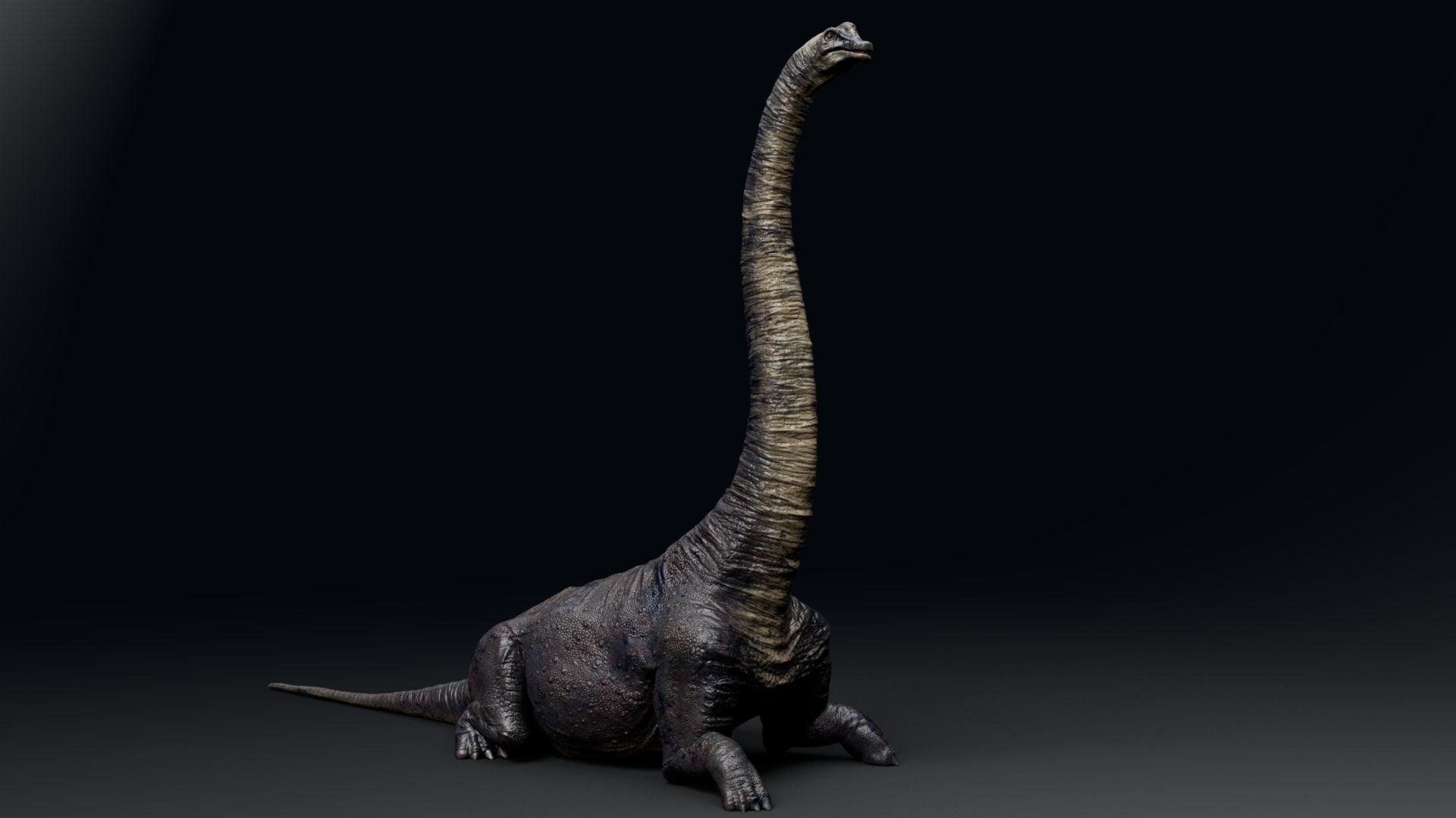 Dinosaur Brachiosaurus Sauropod Low-poly 3D model_15