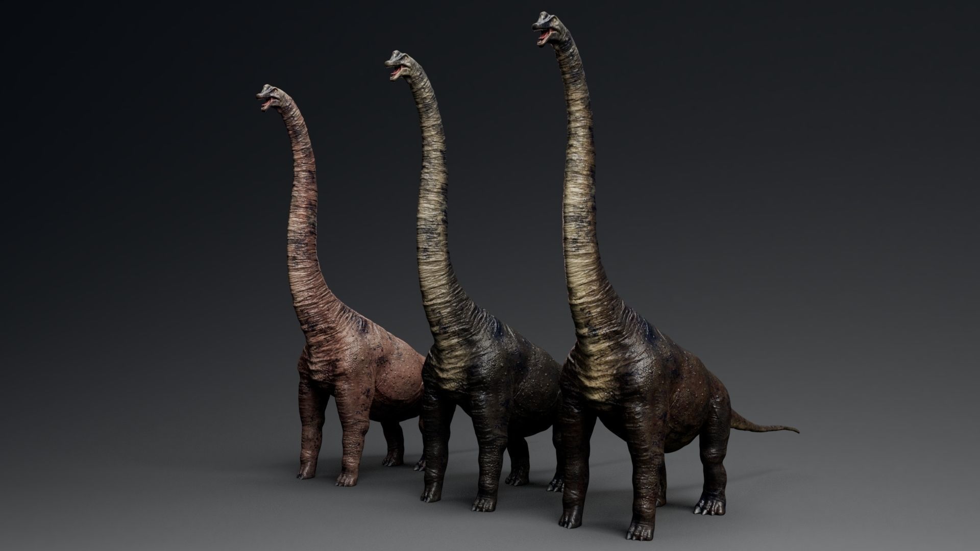 Dinosaur Brachiosaurus Sauropod Low-poly 3D model_6