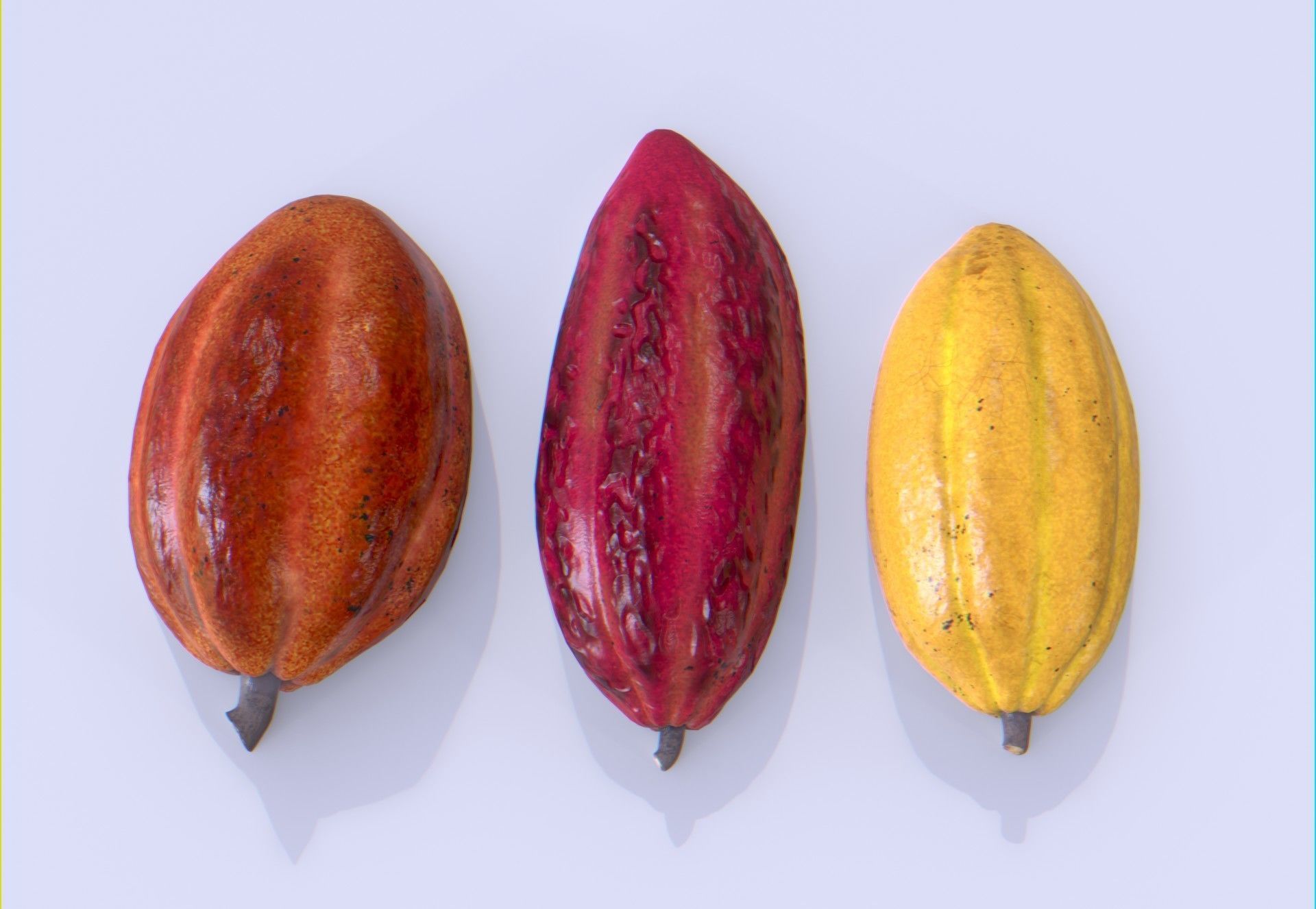 Cocoa fruit  Low-poly 3D model_4