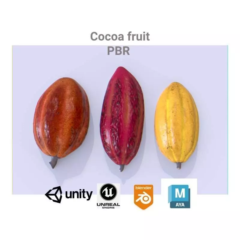 Cocoa fruit  Low-poly 3D model_0