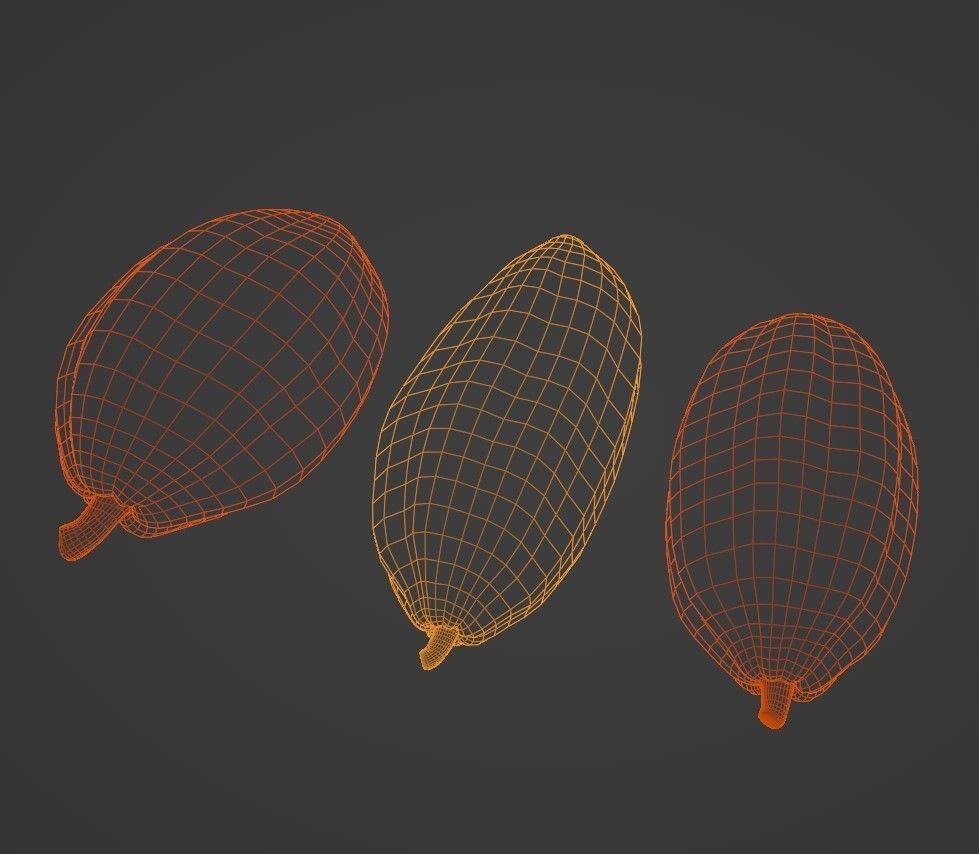 Cocoa fruit  Low-poly 3D model_8