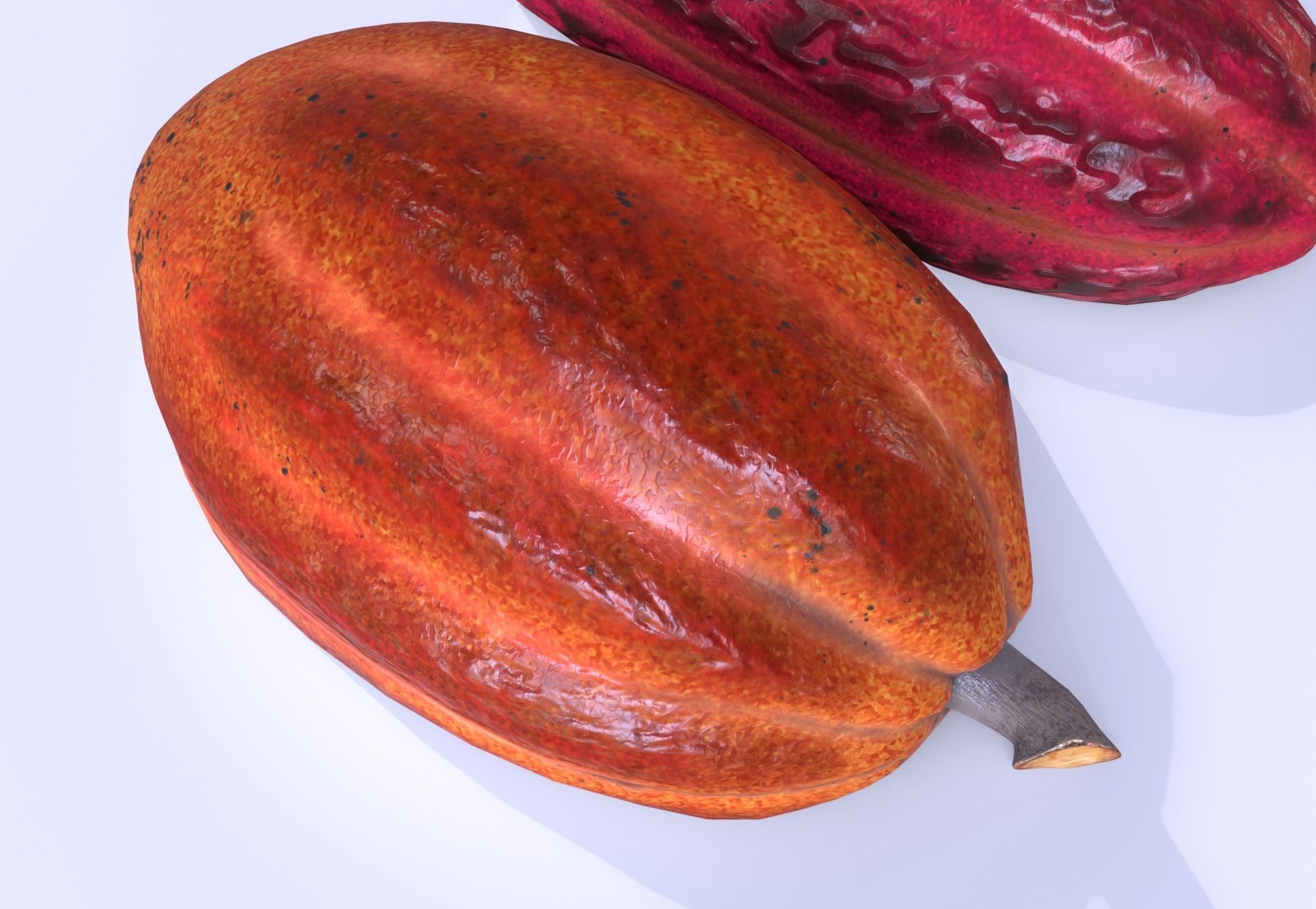 Cocoa fruit  Low-poly 3D model_6