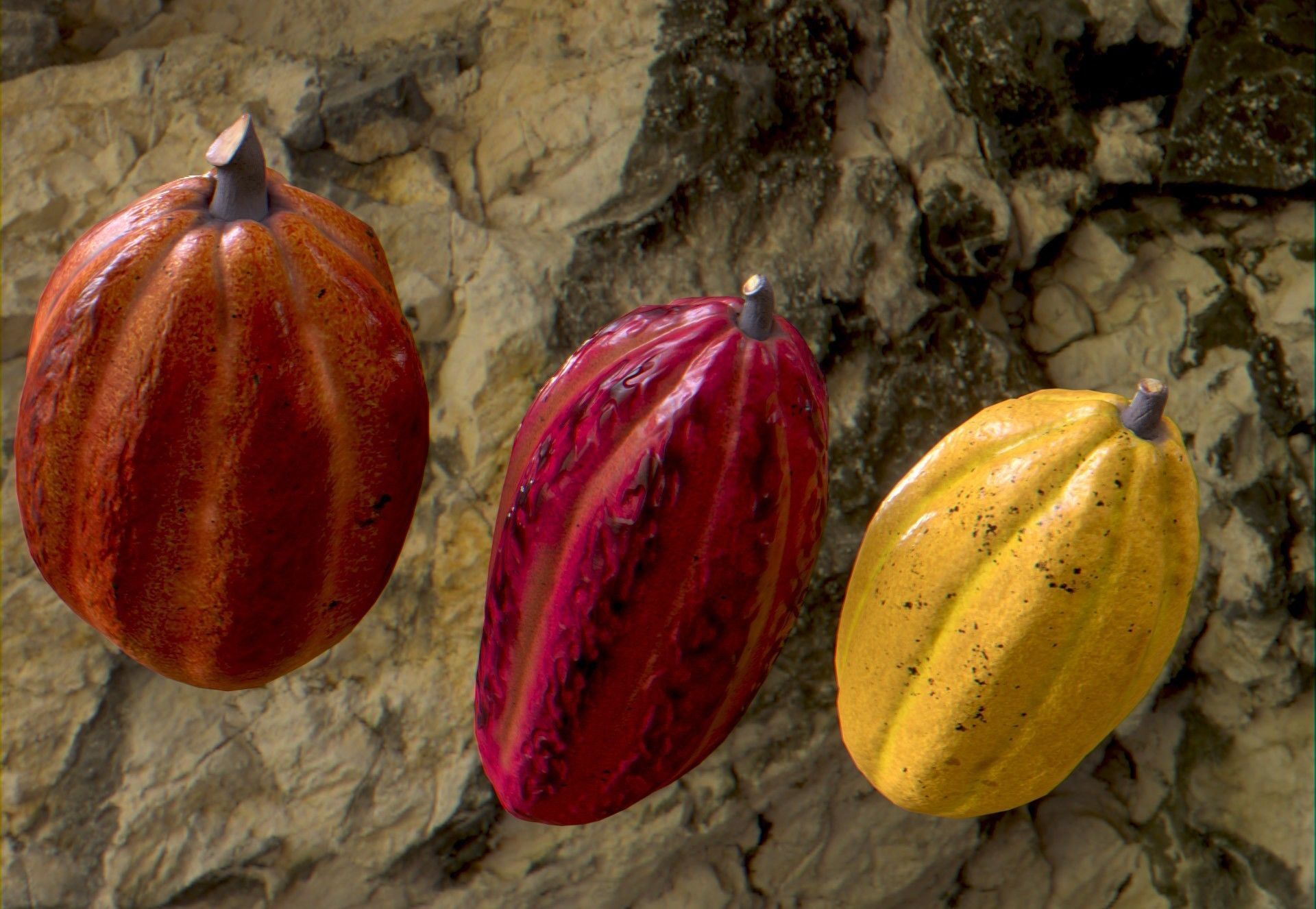 Cocoa fruit  Low-poly 3D model_7