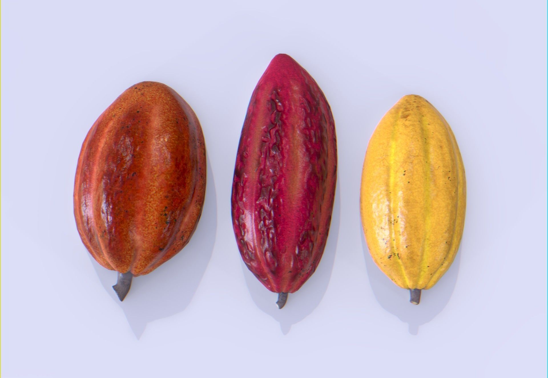 Cocoa fruit  Low-poly 3D model_13