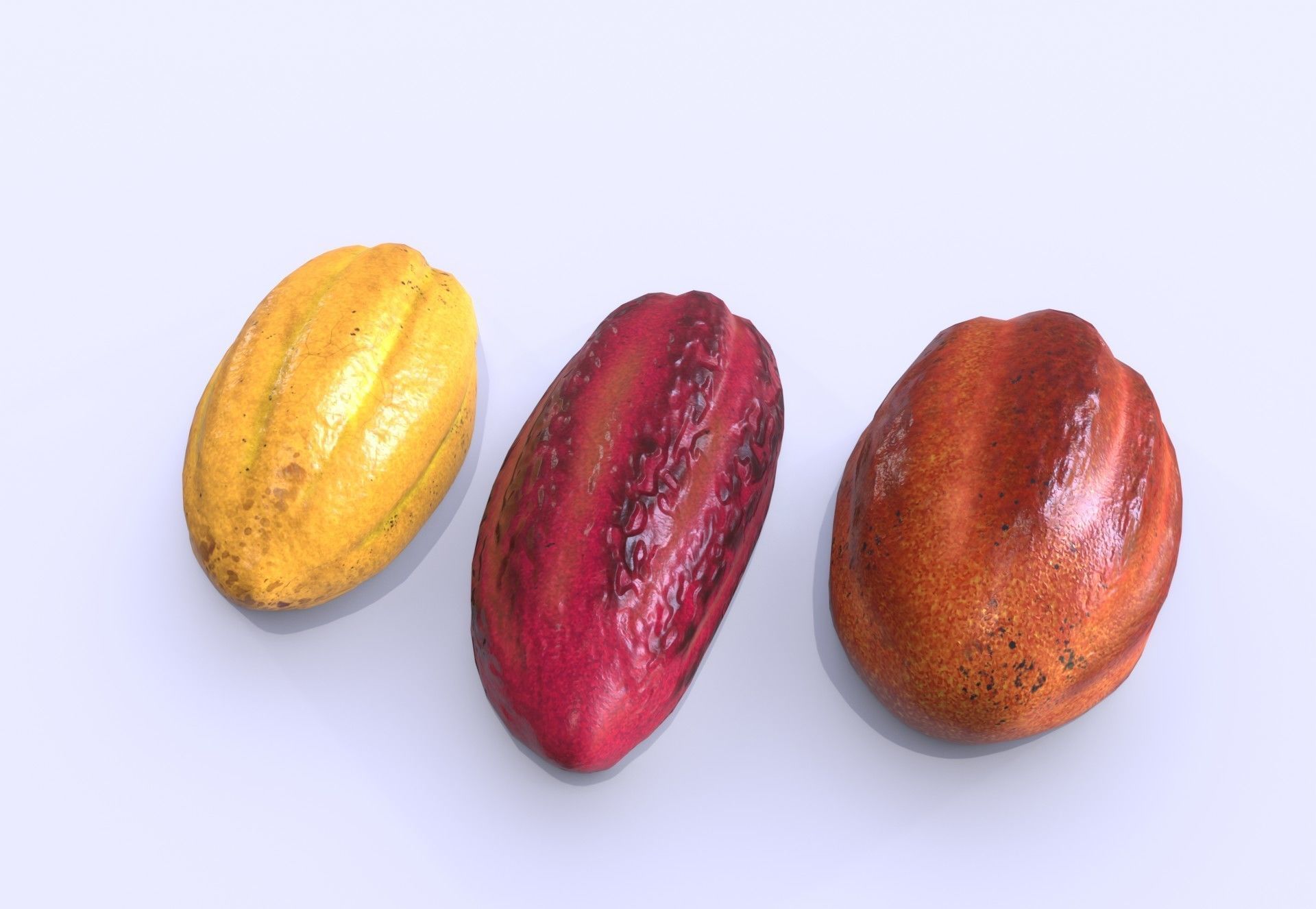 Cocoa fruit  Low-poly 3D model_11
