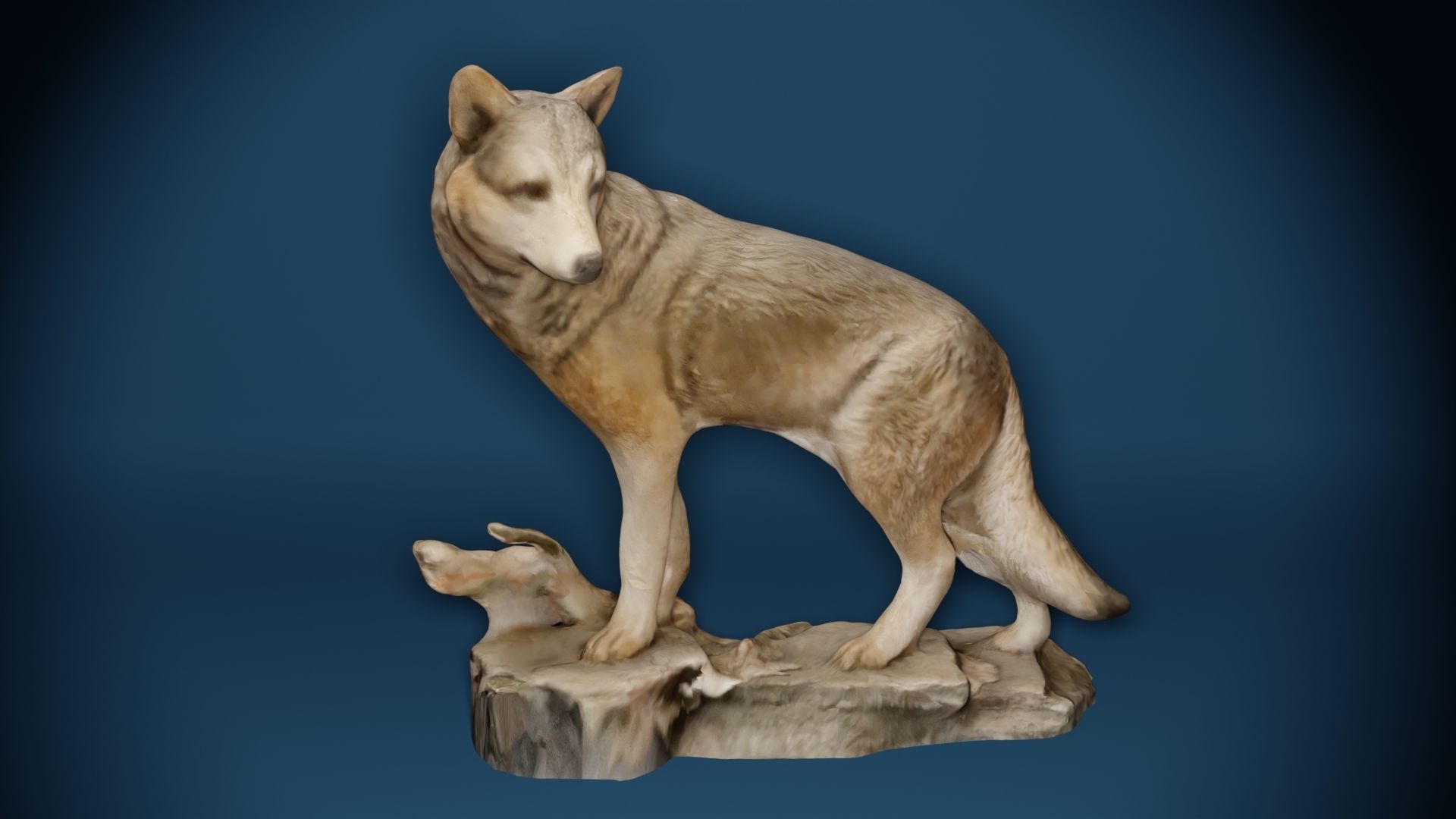 Big Grey Wolf Standing On Rocks Figure Low-poly 3D model_9
