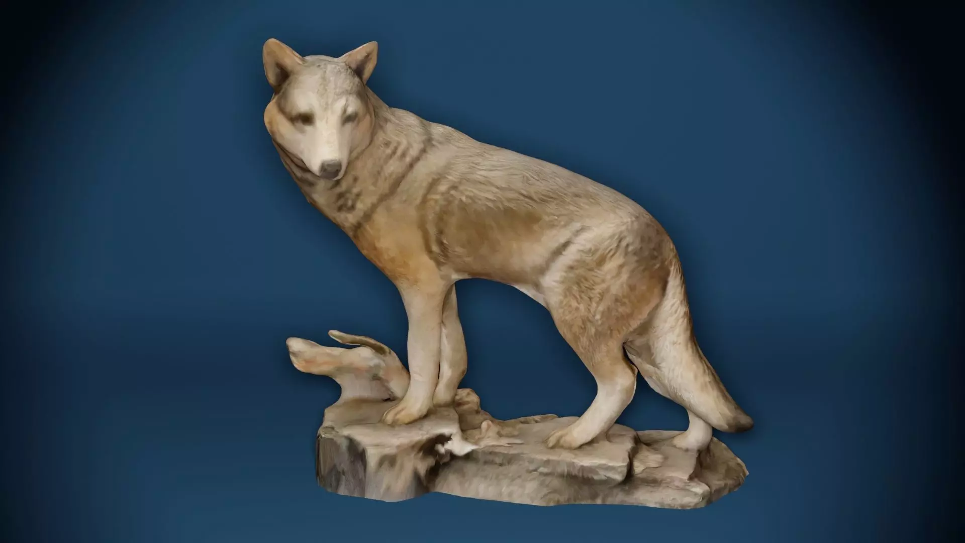 Big Grey Wolf Standing On Rocks Figure Low-poly 3D model_0