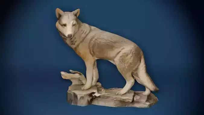 Big Grey Wolf Standing On Rocks Figure