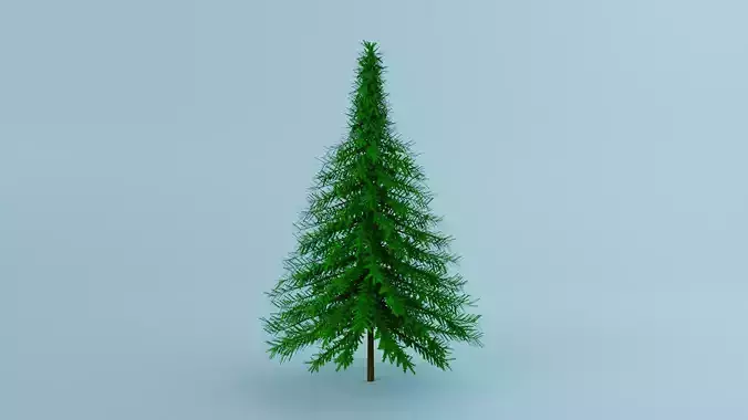 Pine Tree