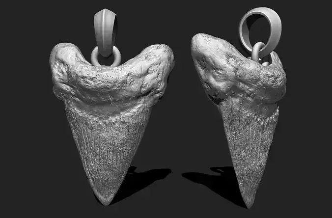Shark Tooth Fossil - 3D Print Pendant