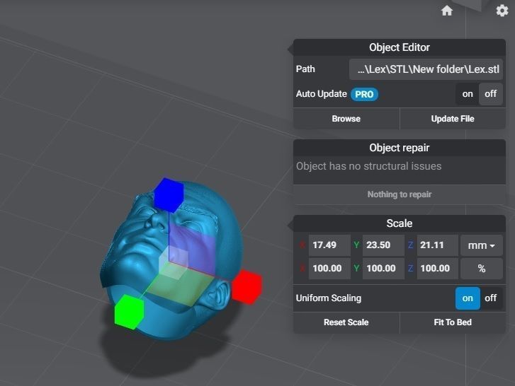 Lex Luthor - Headsculpt for Action Figures 3D print model_8