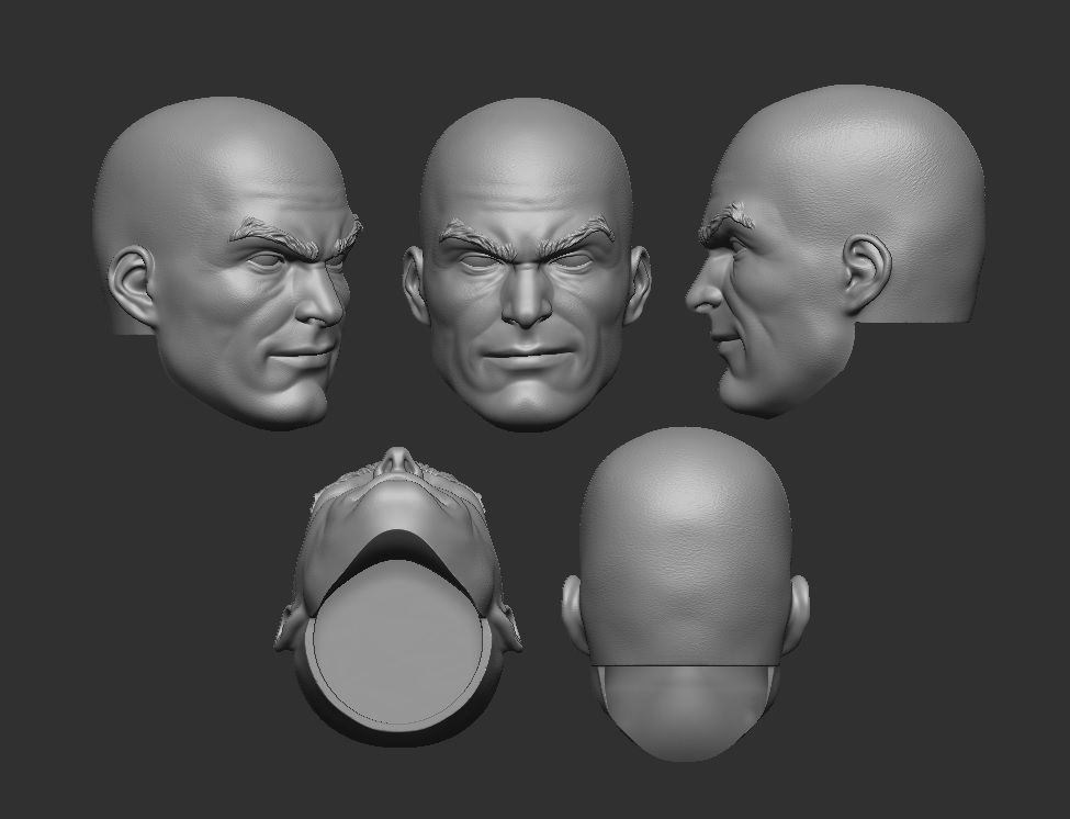 Lex Luthor - Headsculpt for Action Figures 3D print model_3